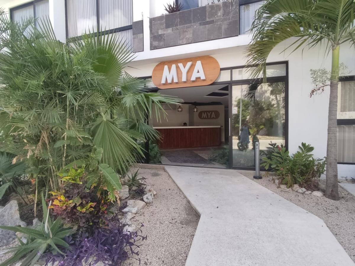 Nuevo Estudio Con Terraza Totalmente Equipado Tulum Aldea Zama מראה חיצוני תמונה